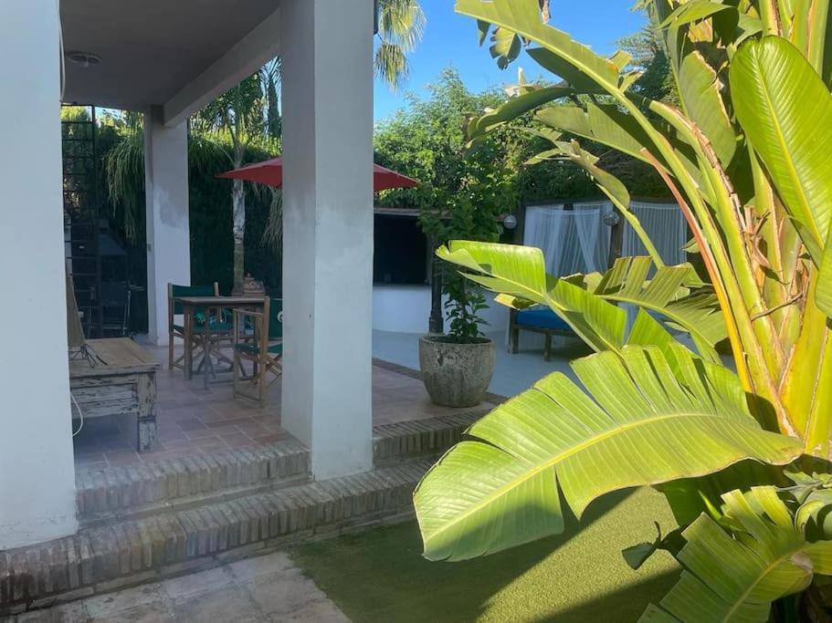 Atuaire Home Sevilla Mairena del Aljarafe Bagian luar foto
